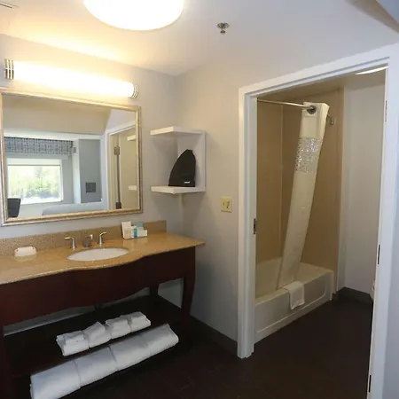 Hampton Inn Owego Esterno foto